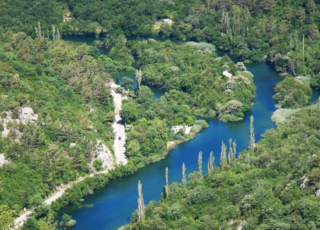 Skats no zipline