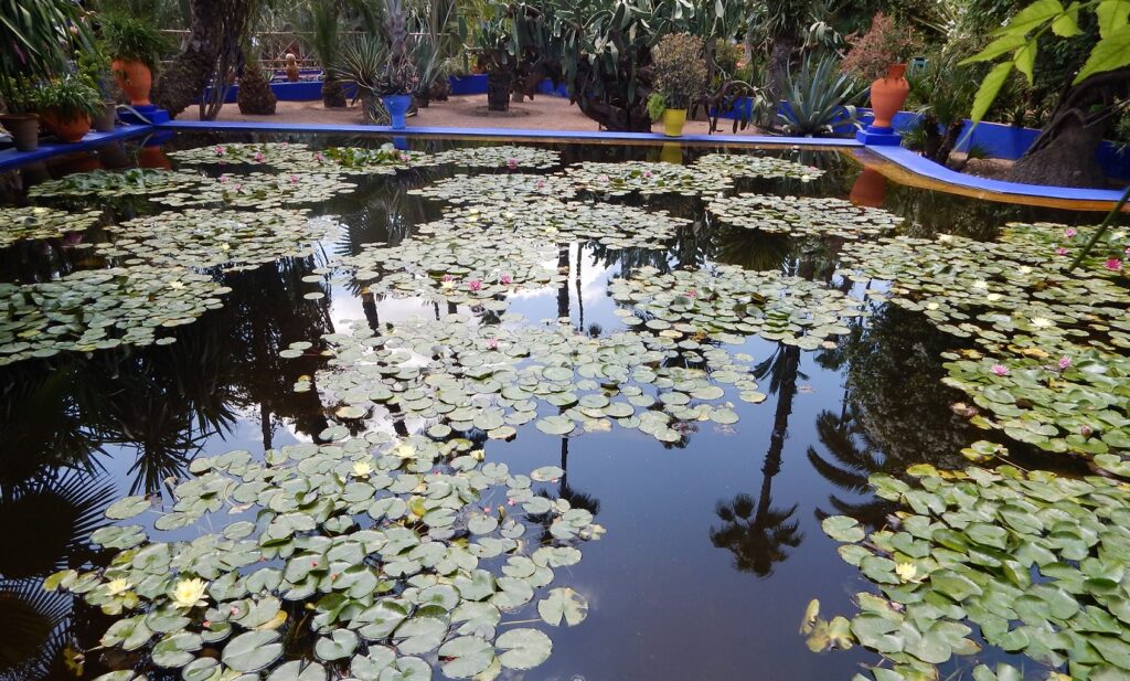 Majorelles dārzi Marakešā