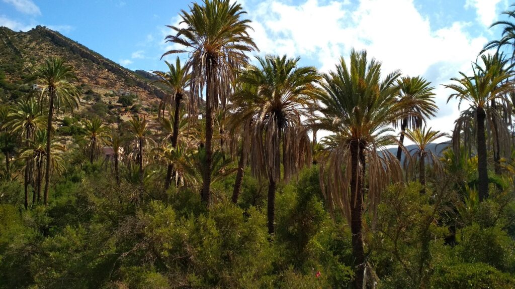 Skats no Tifrit viesnīcas