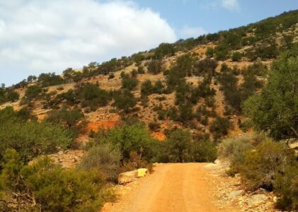 Marokas pilsēta Tarudanta