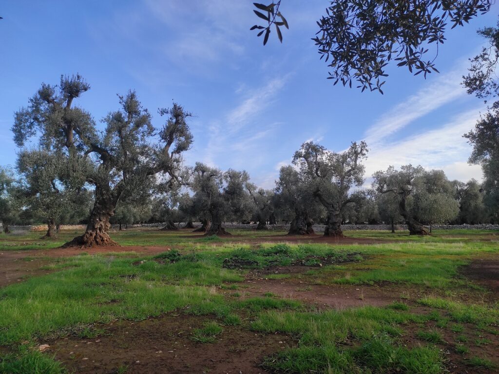 Apūlija, Itālija