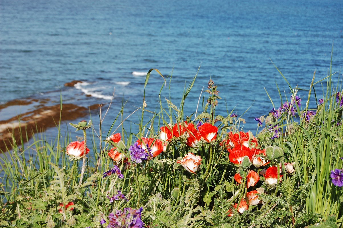 Ar auto pa Skotijas augstienēm
