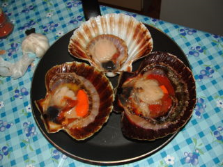 Jūras ķemmītes