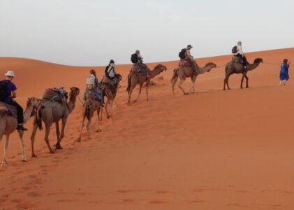 Safari brauciens uz Sahāras tuksnesi