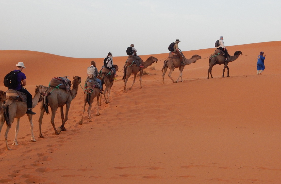 Safari brauciens uz Sahāras tuksnesi